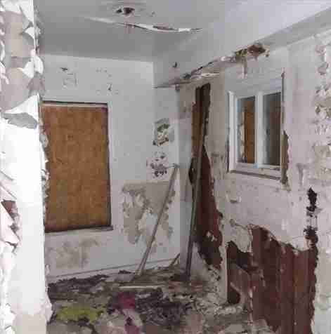 4200156_0003 (2).jpg